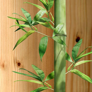 20 Servietten - 33 x 33 cm Bamboo,  Pflanzen -  Sonstige,  Sommer,  lunchservietten,  Bambus