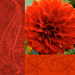 20 Servietten - 33 x 33 cm Feuerrot,  Blumen - Dalien,  Herbst,  lunchservietten