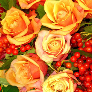 20 Servietten - 33 x 33 cm Herbstrose,  Früchte -  Sonstige,  Blumen - Rosen,  Sommer,  lunchservietten