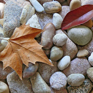 20 Servietten - 33 x 33 cm Herbststille,  Sonstiges - Steine,  Herbst - Blätter / Laub,  Everyday,  lunchservietten