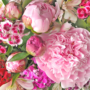 20 Servietten - 33 x 33 cm Paeonia rosa,  Blumen - Tulpen,  Frühjahr,  lunchservietten,  Pfingstrosen,  Lilien