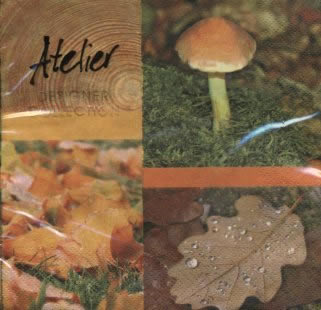 20 Servietten - 33 x 33 cm Im Wald,  Herbst - Blätter / Laub,  Früchte - Pilze,  Herbst,  lunchservietten