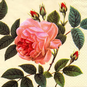 20 Servietten - 33 x 33 cm Rosa,  Blumen - Rosen,  Sommer,  lunchservietten,  Rosa