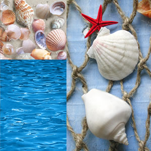 20 Servietten - 33 x 33 cm Meeresbriese,  Regionen - Strand / Meer - Muscheln,  Regionen - Südsee,  Regionen - Strand / Meer,  Sommer,  lunchservietten,  Meeresbriese