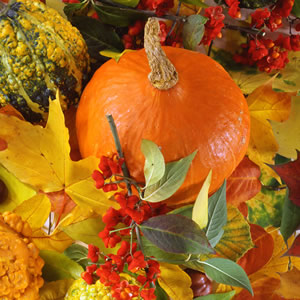 20 Servietten - 33 x 33 cm goldene Ernte,  Herbst - Blätter / Laub,  Früchte - Kürbisse,  Herbst,  lunchservietten,  goldene Ernte,  kürbis, halloween
