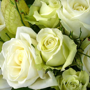 20 Servietten - 33 x 33 cm Weißer Garten,  Blumen - Rosen,  Sommer,  lunchservietten,  White Garden