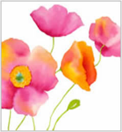 20 Servietten - 33 x 33 cm Anemone,  Blumen - Mohn,  Sommer,  lunchservietten