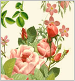 20 Servietten - 33 x 33 cm Mary Rose,  Blumen - Rosen,  Blumen -  Sonstige,  Sommer,  lunchservietten