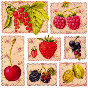 20 Servietten - 33 x 33 cm , Früchte - Johannisbeeren,  Früchte - Brombeeren,  Früchte - Himbeeren,  Früchte - Erdbeeren,  Frühjahr,  lunchservietten