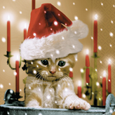 20 Servietten - 25 x 25 cm sleepy cat,  Tiere - Katzen,  Weihnachten - Weihnachtsmann,  Weihnachten,  cocktail servietten