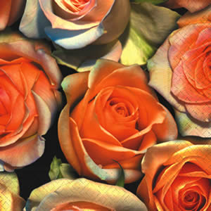 20 Servietten - 25 x 25 cm ,  Blumen - Rosen,  Sommer,  cocktail servietten
