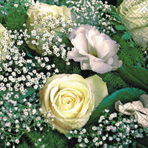 20 Servietten - 25 x 25 cm ,  Ereignisse - Feier,  Blumen - Rosen,  Everyday,  cocktail servietten,  Schleierkraut