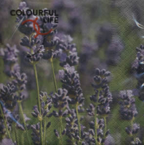 20 Servietten - 25 x 25 cm ,  Blumen - Lavendel,  Sommer,  cocktail servietten