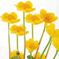 20 Servietten - 33 x 33 cm marsh marigolds,  Blumen -  Sonstige,  Frühjahr,  lunchservietten,  Trollblumen