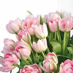 20 Servietten - 33 x 33 cm tulip time,  Blumen - Tulpen,  Frühjahr,  lunchservietten
