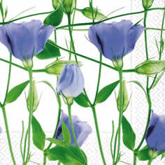 20 Servietten - 33 x 33 cm ,  Blumen -  Sonstige,  Frühjahr,  lunchservietten