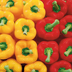 20 Servietten - 33 x 33 cm ,  Gemüse,  Sommer,  lunchservietten,  Paprika