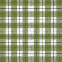 20 Servietten - 33 x 33 cm cute gingham green,  Sonstiges - Muster,  Everyday,  lunchservietten