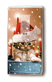 10 bedruckte Taschentücher TT sleepy cat,  Winter,  Weihnachten,  bedruckte papiertaschentücher