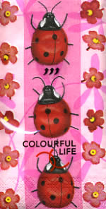 10 bedruckte Taschentücher TT blossoms & ladybirds,  Tiere,  Blumen,  Frühjahr,  bedruckte papiertaschentücher,  Marienkäfer