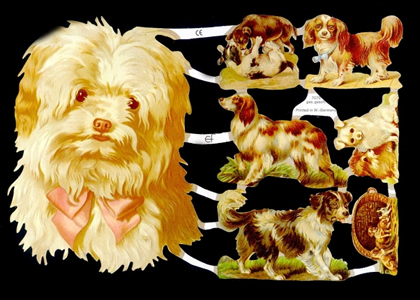 1 Bogen Glanzbilder , Poesiebilder,  Sonstiges,  Glanzbilder,  Tiere,  Everyday,  Hunde