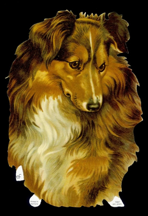 1 Bogen Glanzbilder , Sonstiges,  Glanzbilder,  Tiere,  Everyday,  Hundekopf