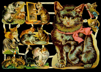 1 Bogen Glanzbilder ,  Sonstiges,  Glanzbilder,  Tiere,  Everyday,  Katze