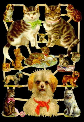 1 Bogen Glanzbilder ,  Sonstiges,  Glanzbilder,  Tiere,  Everyday,  Hund und Katze