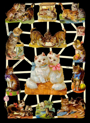 1 Bogen Glanzbilder ,  Glanzbilder,  Sonstiges,  Tiere,  Everyday,  Katzen beim spielen