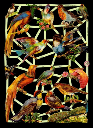 1 Bogen Glanzbilder mit Glimmer ,  Sonstiges,  Glanzbilder mit Glimmer,  Tiere,  Frühjahr,  Paradies Vögel,  Pfau