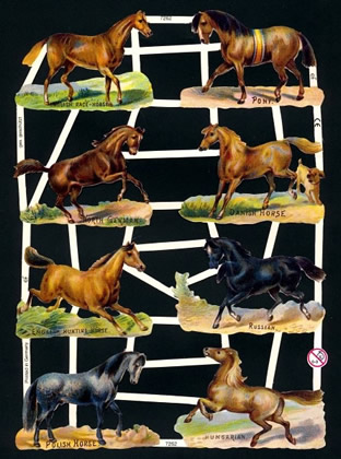 1 Bogen Glanzbilder ,  Tiere,  Sonstiges,  Glanzbilder,  Everyday,  Pferde