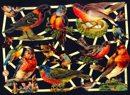 1 Bogen Glanzbilder mit Glimmer ,  Sonstiges,  Glanzbilder mit Glimmer,  Tiere,  Frühjahr,  Vögel
