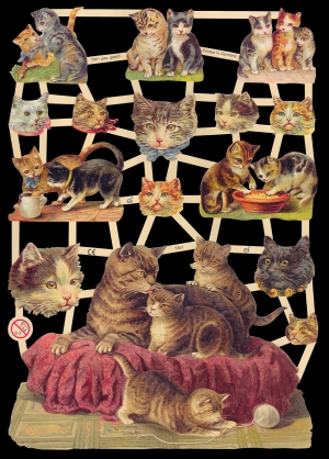 1 Bogen Glanzbilder mit Glimmer ,  Sonstiges,  Glanzbilder mit Glimmer,  Tiere,  Everyday,  Katzen