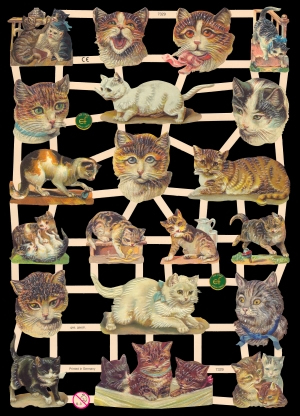 1 Bogen Glanzbilder ,  Sonstiges,  Glanzbilder,  Tiere,  Everyday,  Katzenköpfe,  Katzen beim spielen