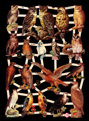 1 Bogen Glanzbilder ,  Tiere,  Glanzbilder,  Eulen,  Falken,  Adler