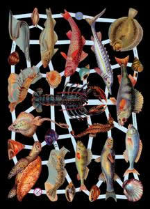 1 Bogen Glanzbilder ,  Tiere,  Glanzbilder,  Everyday,  Fische
