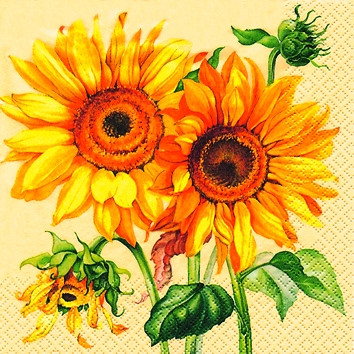 20 Servietten - 25 x 25 cm Solanum creme,  Sonstiges -  Sonstiges,  Blumen - Sonnenblumen,  Blumen -  Sonstige,  Herbst,  cocktail servietten,  Sonnenblumen
