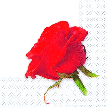 20 Servietten - 25 x 25 cm Valentine rose,  Blumen - Rosen,  Sommer,  cocktail servietten