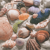 20 Servietten - 25 x 25 cm Shells in the Sand, Regionen - Südsee,  Regionen - Strand / Meer - Muscheln,  Regionen - Strand / Meer -  Sonstige,  Sonstiges -  Sonstiges,  Sommer,  cocktail servietten,  Muscheln