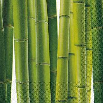 20 Servietten - 25 x 25 cm Bambus,  Regionen - Asien,  Pflanzen,  Sommer,  cocktail servietten,  Bambus