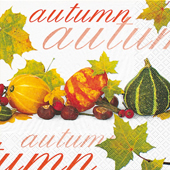 20 Servietten - 25 x 25 cm Zierkürbis,  Sonstiges - Schriften,  Herbst - Blätter / Laub,  Früchte - Kürbisse,  Herbst,  cocktail servietten