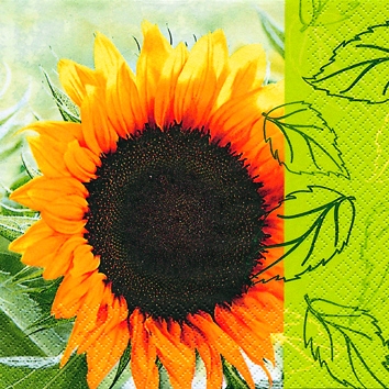 20 Servietten - 25 x 25 cm Sunflower and Leaves,  Blumen - Sonnenblumen,  Sommer,  cocktail servietten