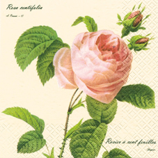 20 Servietten - 33 x 33 cm Rosa,  Blumen - Rosen,  Sommer,  lunchservietten