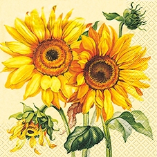 20 Servietten - 33 x 33 cm Solanum creme,  Blumen - Sonnenblumen,  Herbst,  lunchservietten