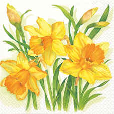 20 Servietten - 33 x 33 cm Narzissenblüten weiß,  Blumen - Osterglocken,  Frühjahr,  lunchservietten
