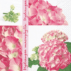 20 Servietten - 33 x 33 cm ,  Blumen -  Sonstige,  Sonstiges -  Sonstiges,  Blumen,  Frühjahr,  lunchservietten,  Rosa Blumen