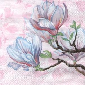20 Servietten - 33 x 33 cm Magnolia,  Blumen - Magnolien,  Frühjahr,  lunchservietten