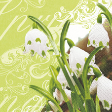 20 Servietten - 33 x 33 cm Leucojum vernum,  Blumen -  Sonstige,  Frühjahr,  lunchservietten,  Schneeglöckchen