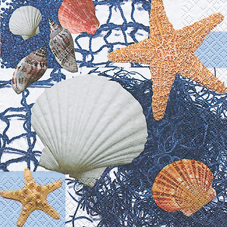 20 napkins - 33 x 33 cm Starfish and Shells,  Regions - beach / sea - other,  Regions - beach / sea - mussels,  Everyday,  lunchnapkins,  Starfish