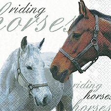 20 Servietten - 33 x 33 cm Riding Horses, Tiere -  Sonstige,  Sport - Reiten,  Tiere - Pferde,  Sonstiges - Schriften,  Everyday,  lunchservietten